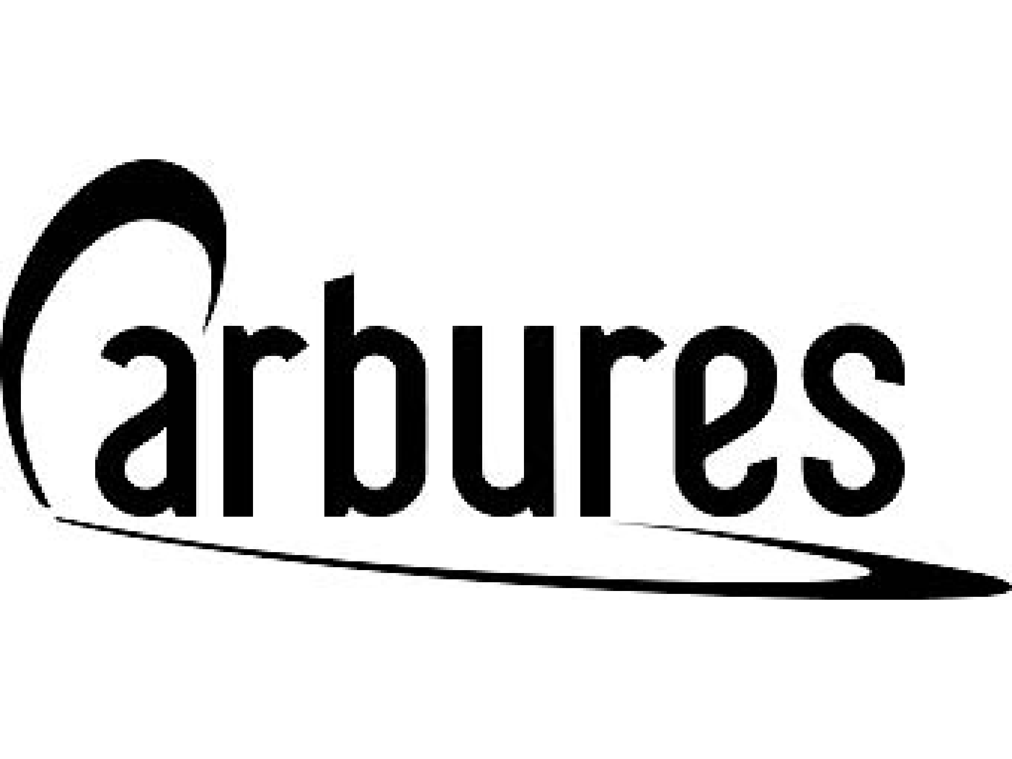logo neg_carbures